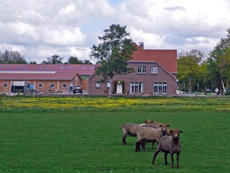 Reiterhof Kleine M&uuml;cke