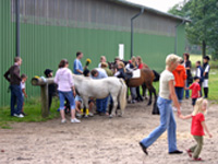 Hofturnier Kleine M&uuml;cke 2008